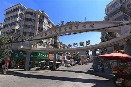 龙都现代城2室1厅1卫79.8㎡带附房急用钱出售